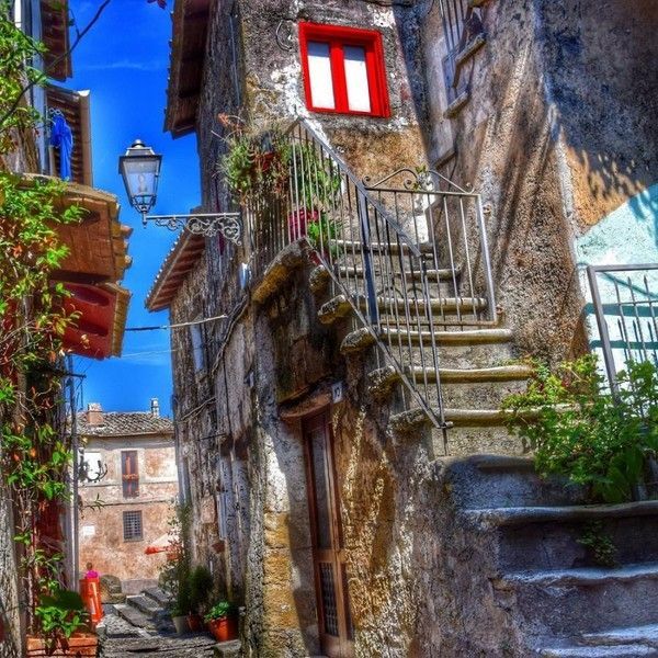 belle image