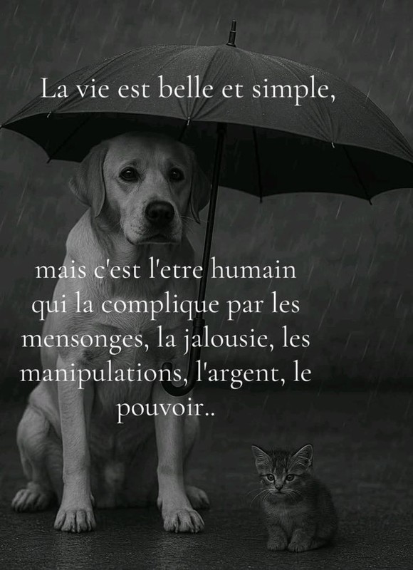 Citation