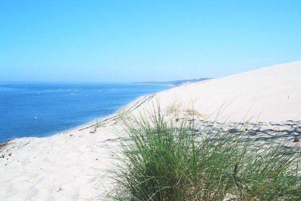 Le Bassin D Arcachon