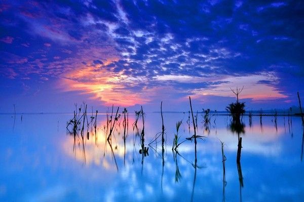 joli paysage