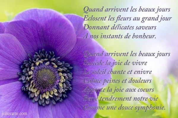 joli texte
