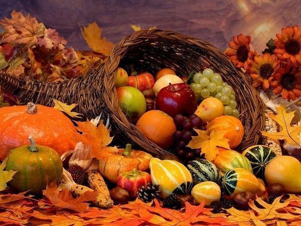 clipart fruits et légumes d'automne - photo #36