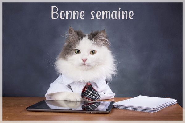 bonne semaine