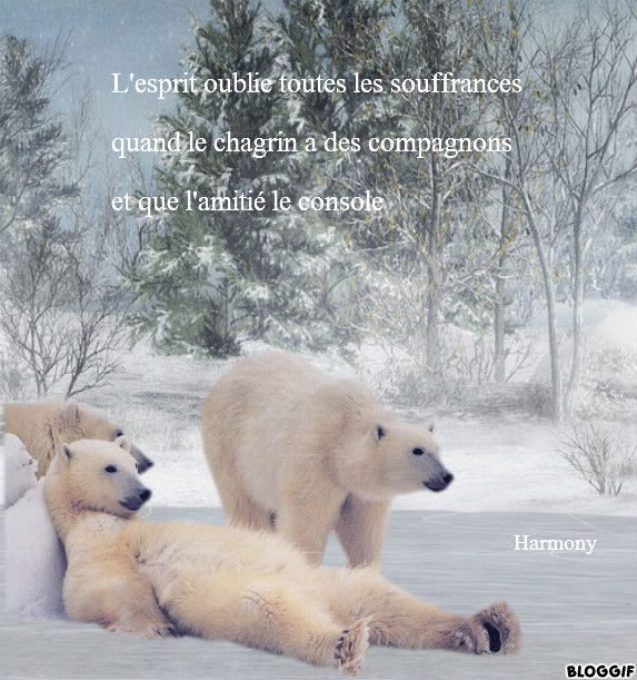 Ours et citation
