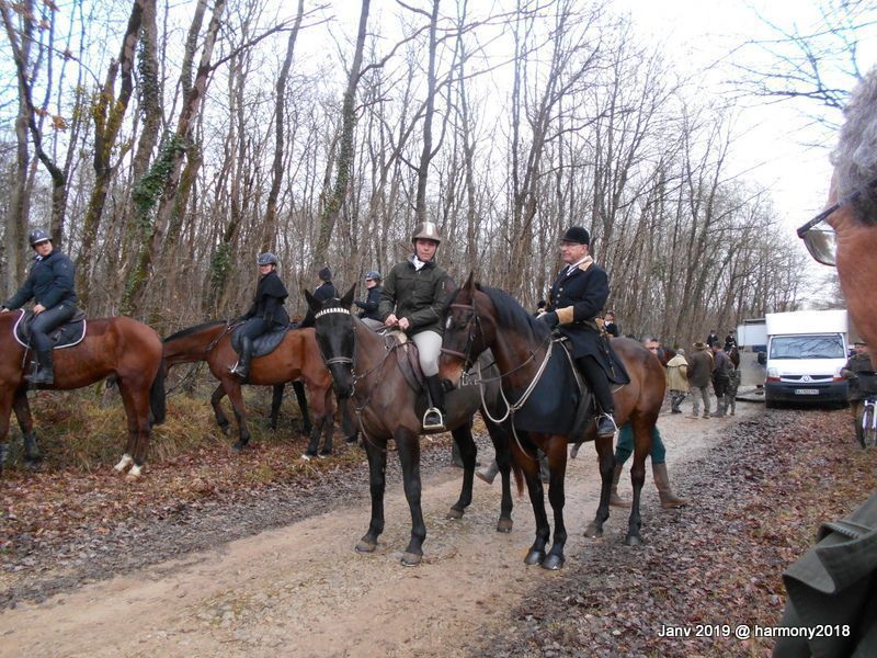 Cpa Photo Chasse À Courre 36 Fougère Équipage Boischaud -bas Berry