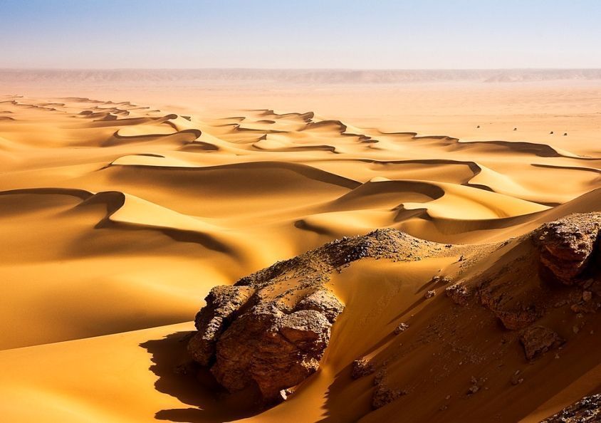 Les Dunes De Sable